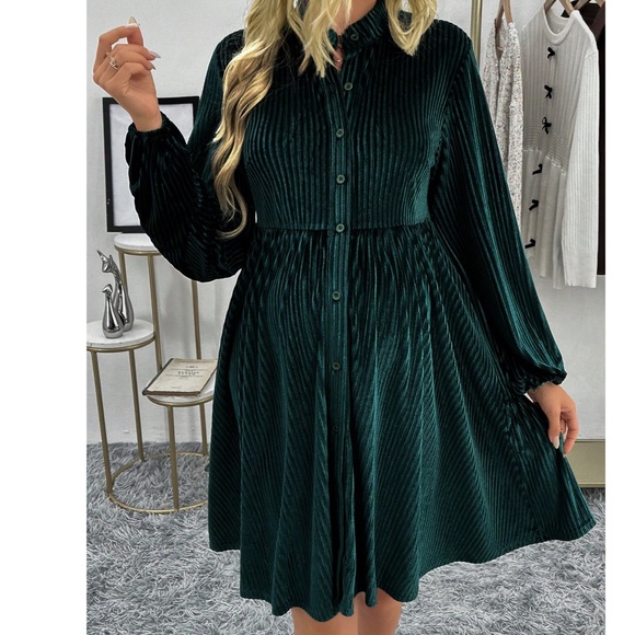 Maternity Green Velvet Button Down Long Sleeve Dress - Picture 1 of 4